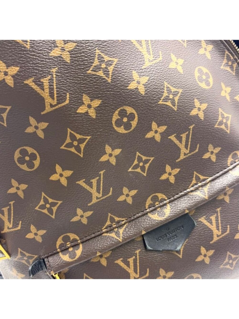 Louis Vuitton Palm Springs Backpack MM Monogram Leather Brown Gold - Picture 5 of 15